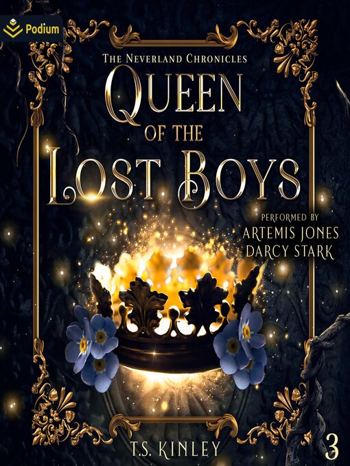 Cover image for Queen of the Lost Boys